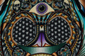 architeuthis dux - sold