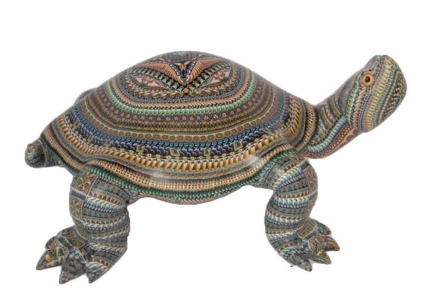 Jumbo Turtle