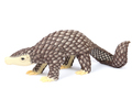 Pangolin 