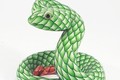 Green Snake