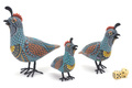 Jon Stuart Anderson Quail Family