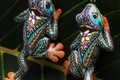 Tree Frog Earrings