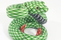 Green Snake