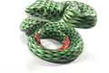 Green Snake 