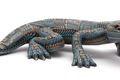 Jon Stuart Anderson Large Lizard 2004