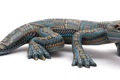 Jon Stuart Anderson Large Lizard 2004