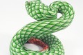 Green Snake