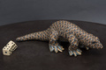 Proto pangolin