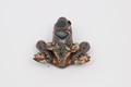 Jon Stuart Anderson Small Brown Frog