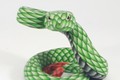 Green Snake