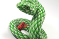 Green Snake 