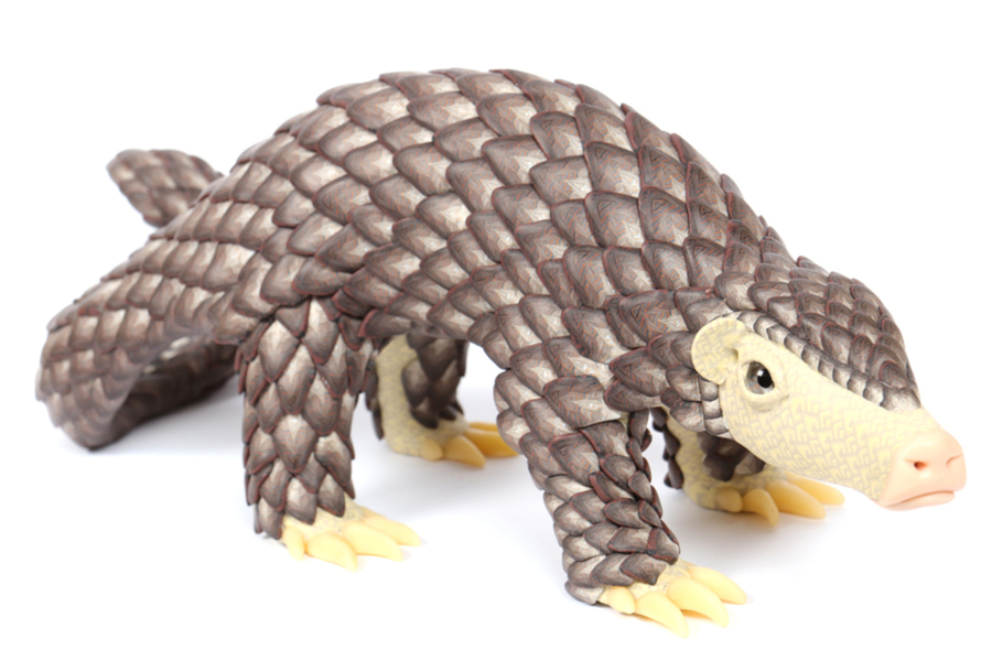 Pangolin 