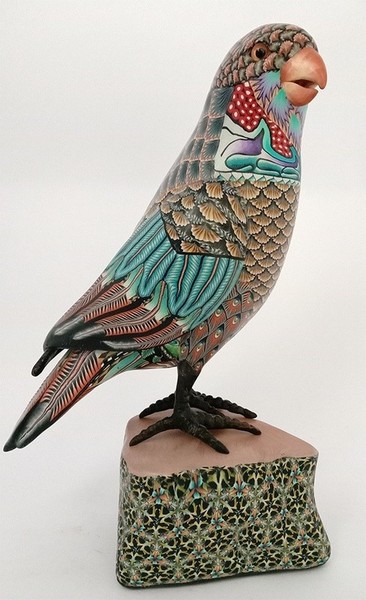 Jon Stuart Anderson Parrot