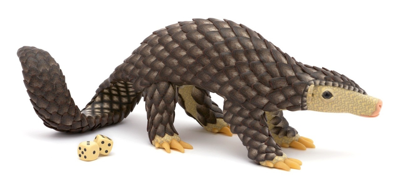 Jon Stuart Anderson Pangolin 2017