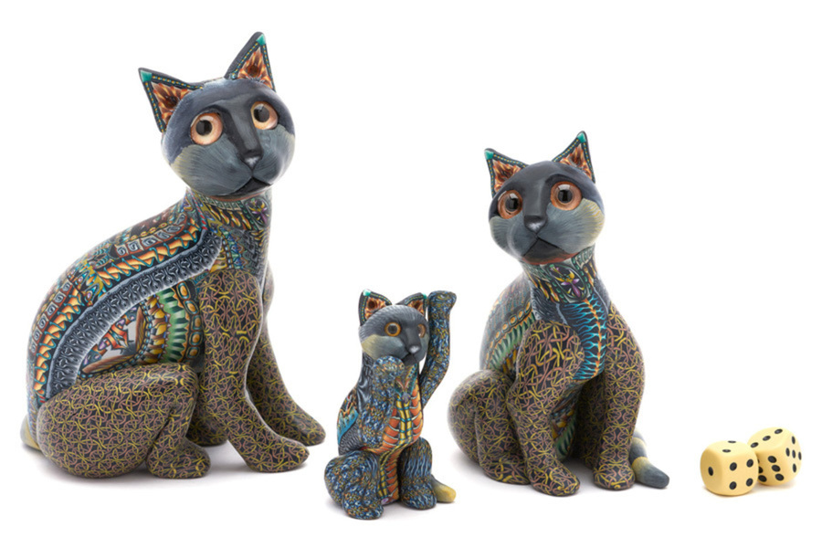 Jon Stuart Anderson Feline Family