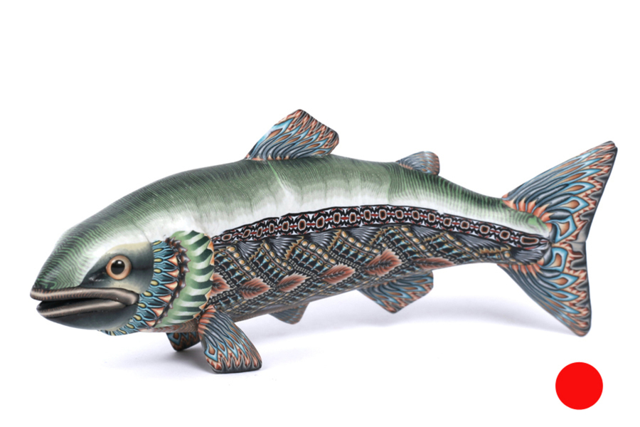 Salmon Fish 